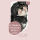 Bellos-Hundeportrait-Fruehjar-2026